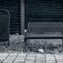 It is very curious to watch this seat-4665764_1920